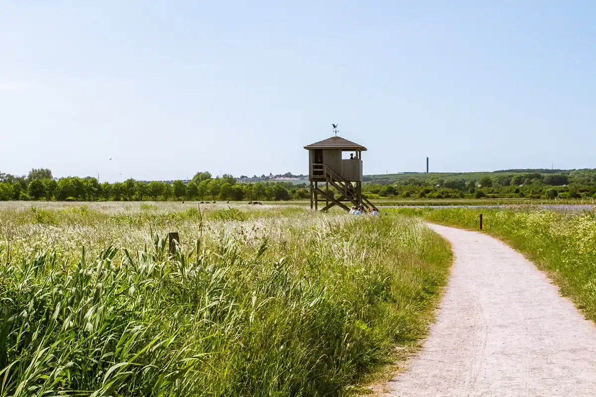 Egå Engsø udkigstårn