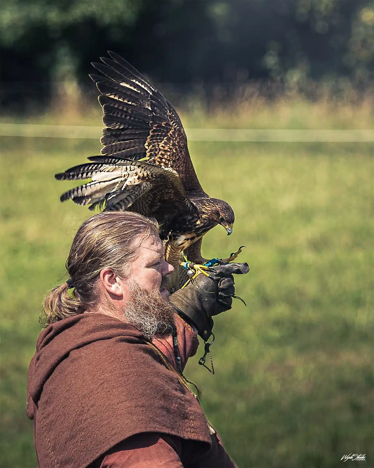 Falkoner og rovfugl til Vikingedage opvisning Falkoner og rovfugl til Vikingedage opvisning - Foto Wyrle Studio