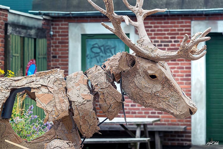 Rensdyret fra The Herds Meta » Aarhus Inside Når dyrene kommer til byen – The Herds rammer Aarhus med sanselig klimafortælling