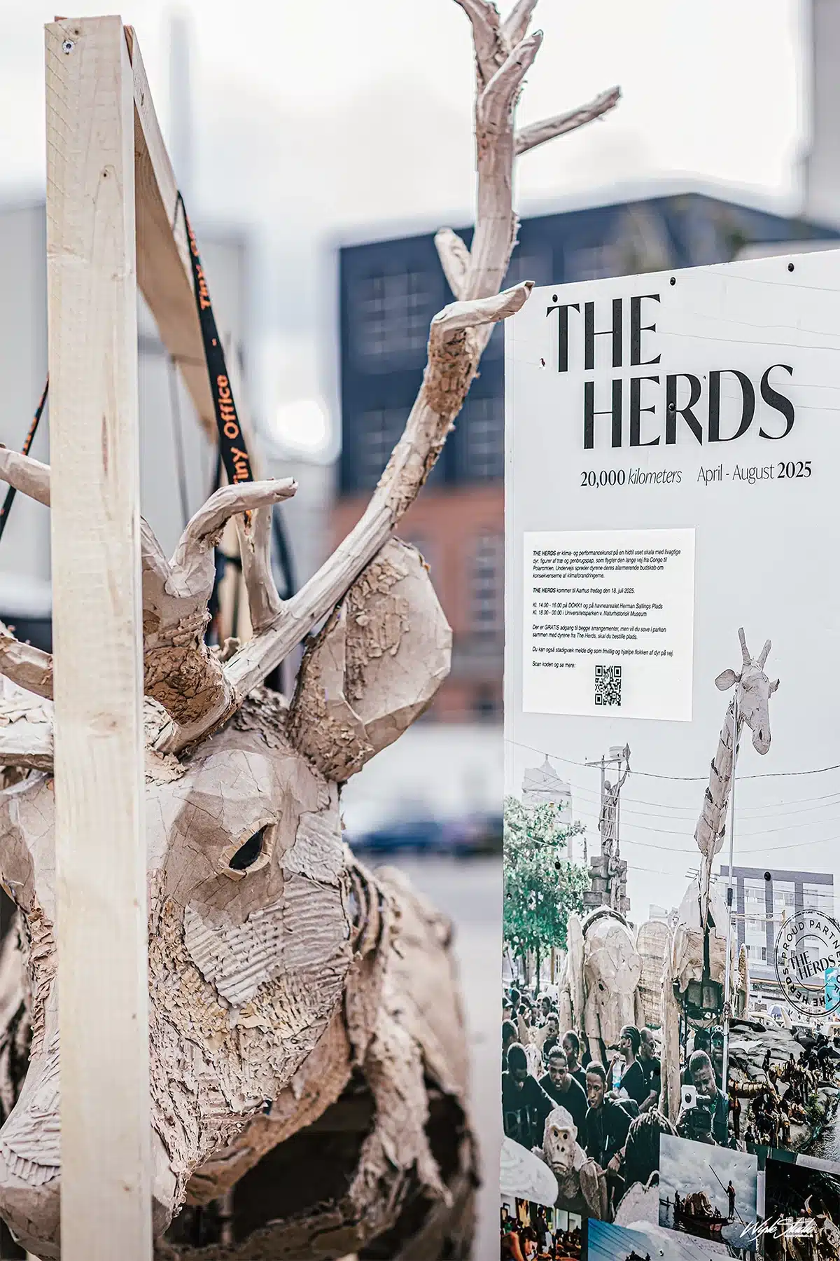 The Herds rejser 20.000 km i 2025