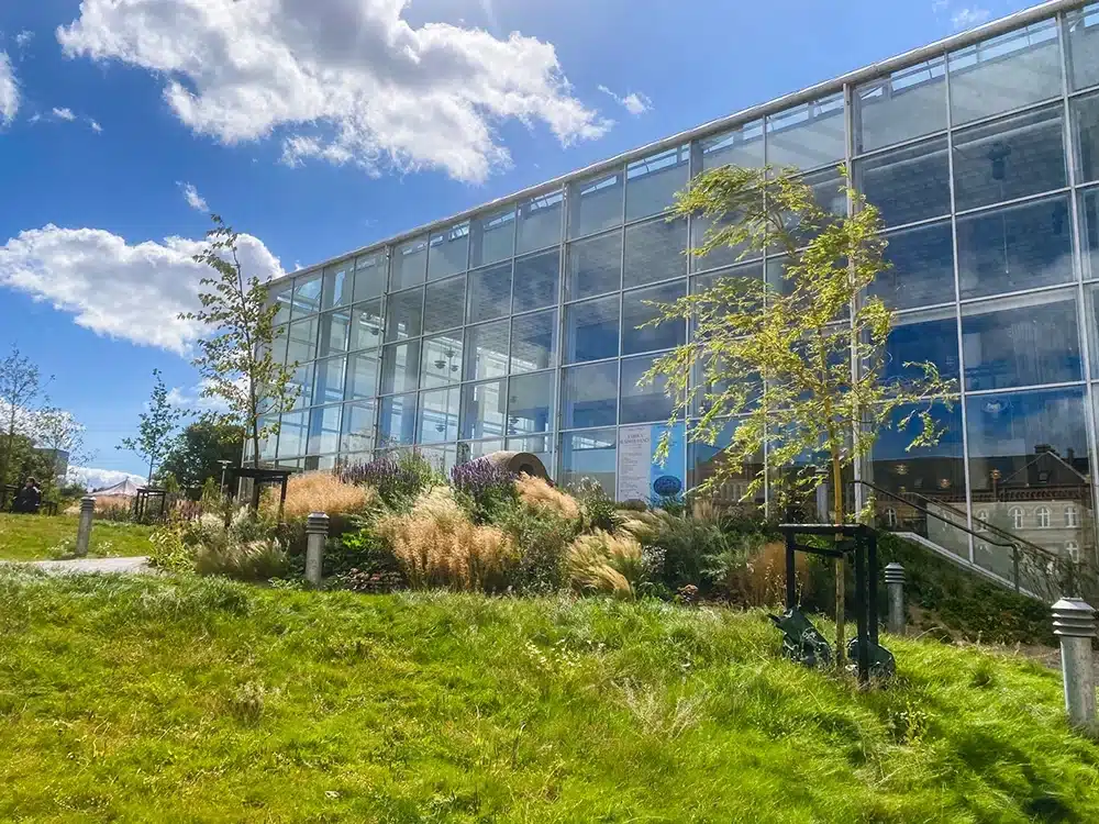 Grønne beplantninger foran Musikhusparken i Aarhus