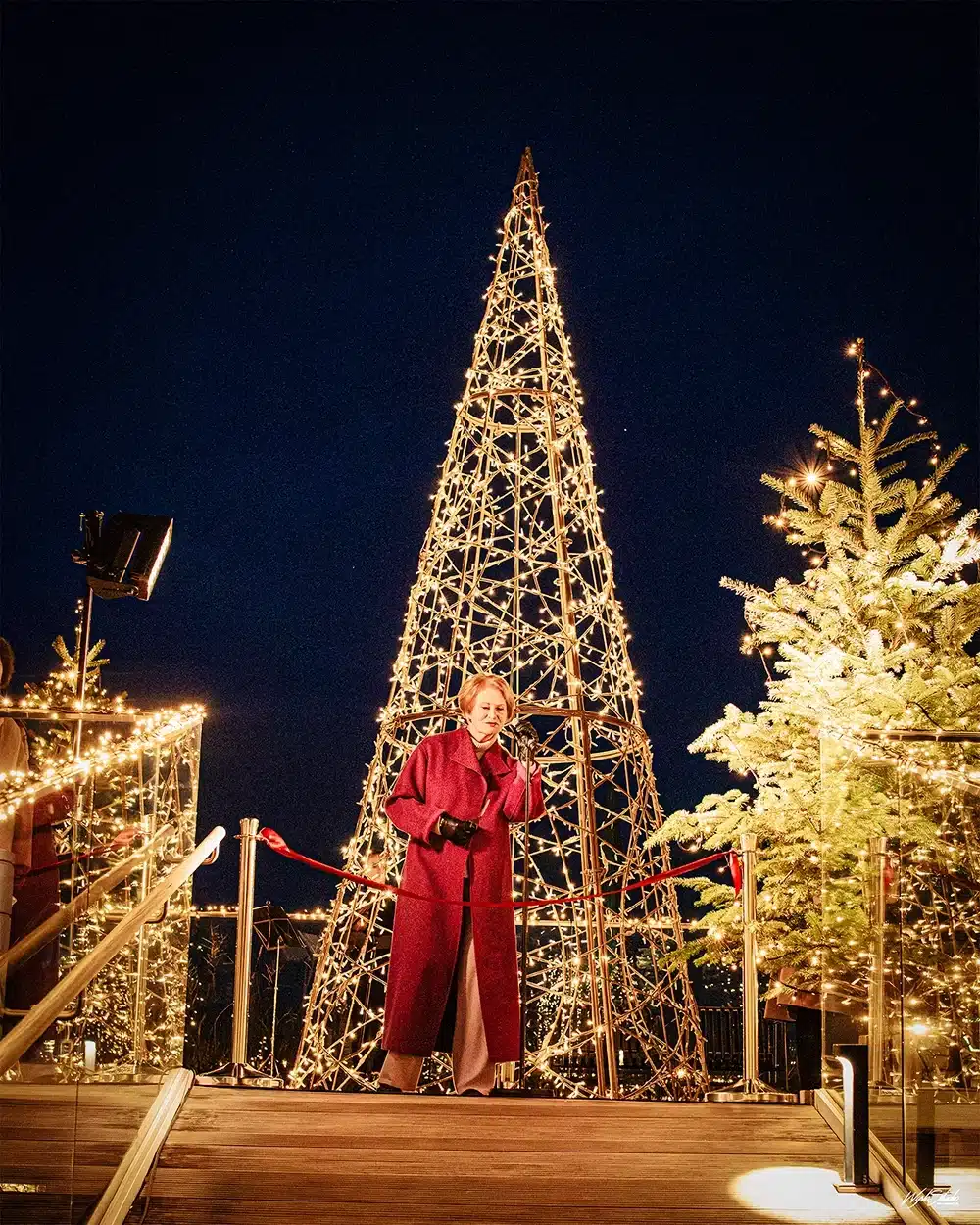 Karin Salling foran det store lysende juletræ ved åbningen af Salling Christmas Garden Karin Salling foran det store lysende juletræ ved åbningen af Salling Christmas Garden