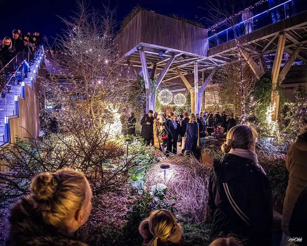 Lysinstallationer, juletræer og en stor spejlskulptur i Salling Christmas Garden Lysinstallationer, juletræer i Salling Christmas Garden