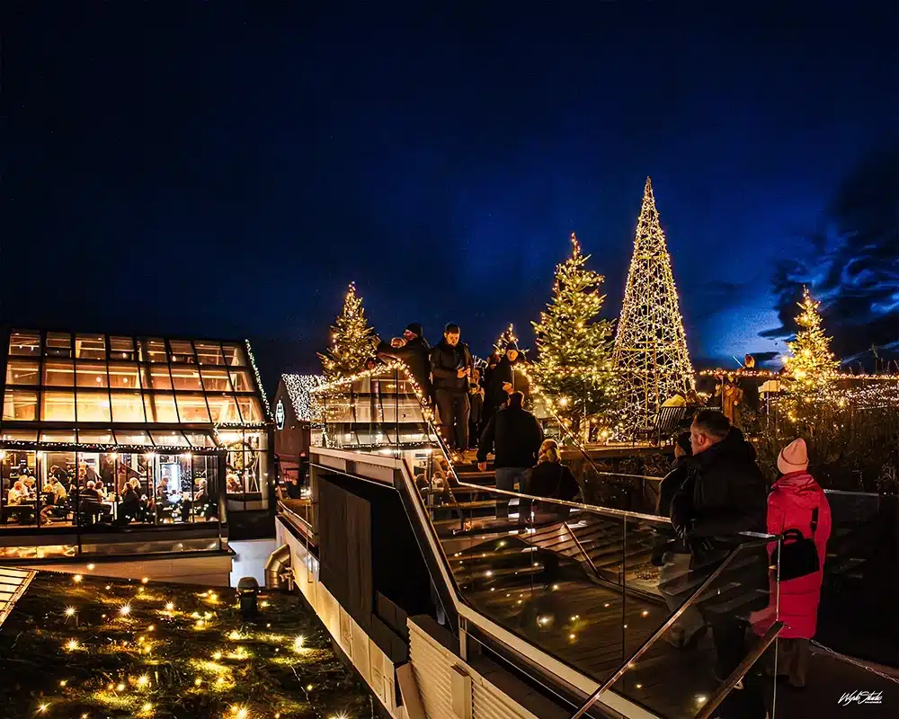 Salling Christmas Garden dekoreret med lyskæder og omgivet af juletræer