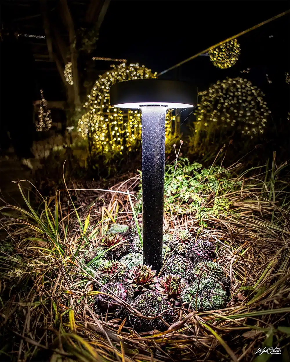 Salling Christmas Garden lys Salling Christmas Garden lys