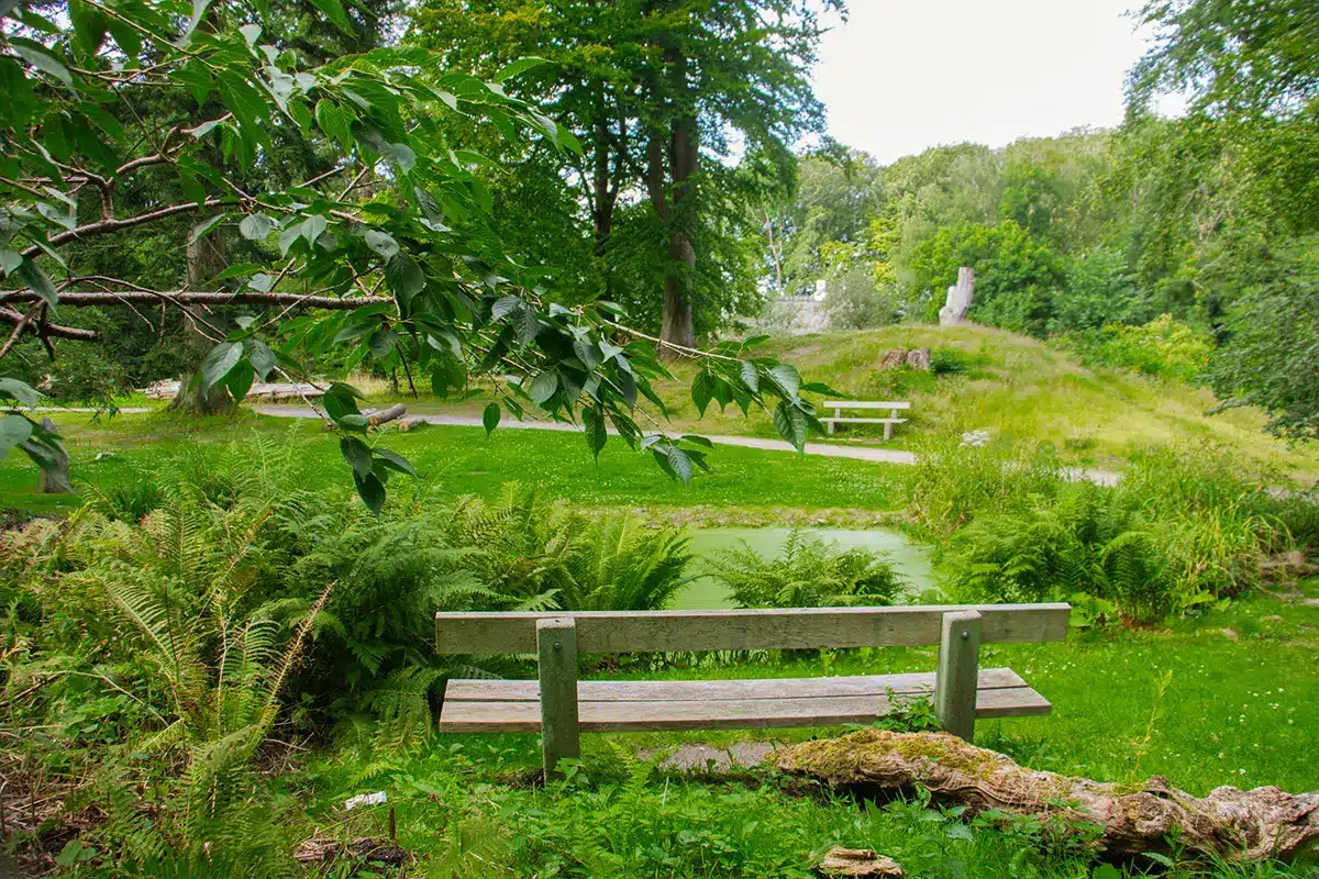Bænk ved sø omgivet af grønt i Forstbotanisk have