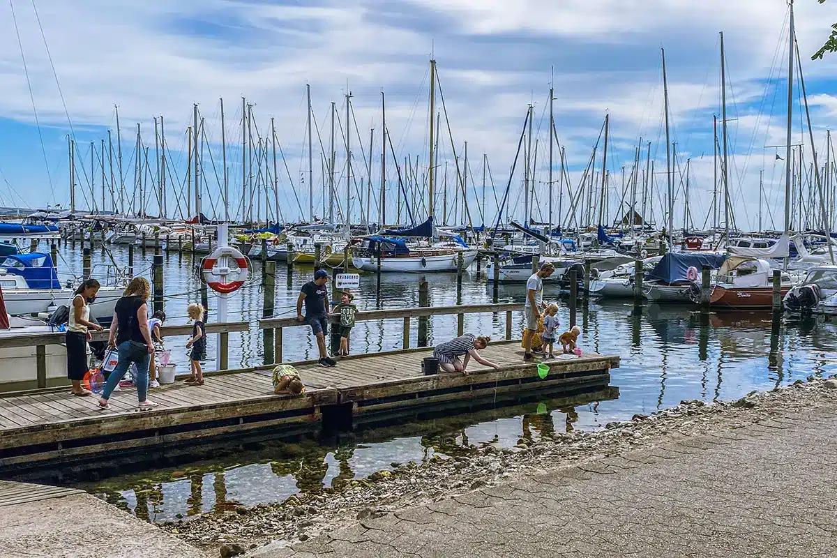 Familier fisker krabber ved broen i Egå Marina Familier fisker krabber ved broen i Egå Marina