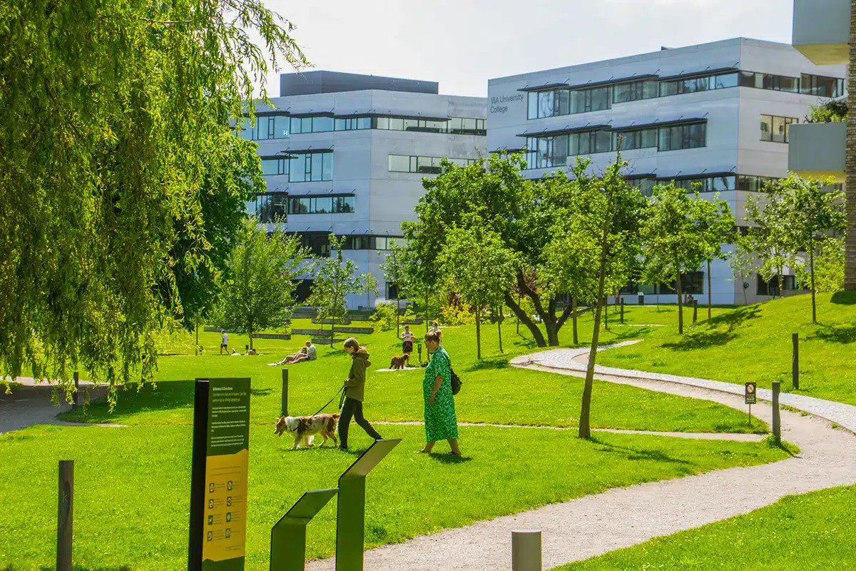 Hundeluftere og picnic på græs i Ceres Parken Hundeluftere og picnic på græs i Ceres Parken