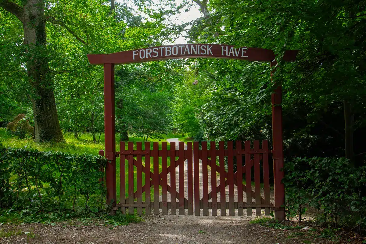 Indgang med låge til Forstbotanisk have