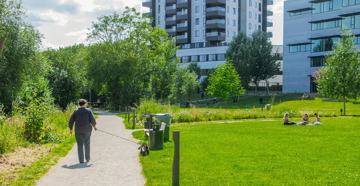 Sti og picnic på græsset i Ceres Parken Sti og picnic på græsset i Ceres Parken
