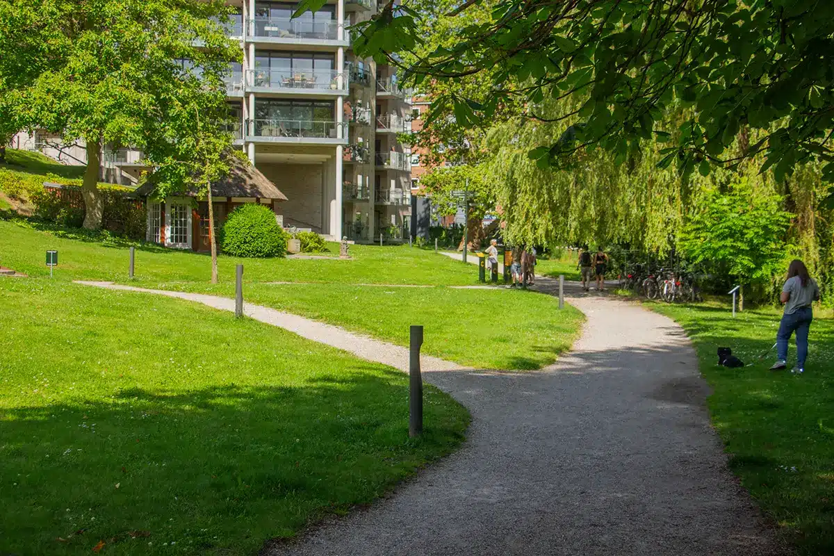 Stier mødes ved pavillon og boliger i Ceres Parken Stier mødes ved pavillon og boliger i Ceres Parken