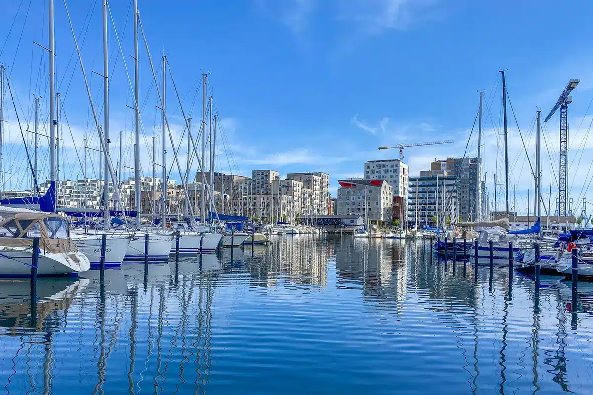 Tætte master og både i Aarhus Lystbådehavn set tæt Tætte master og både i Aarhus Lystbådehavn set tæt