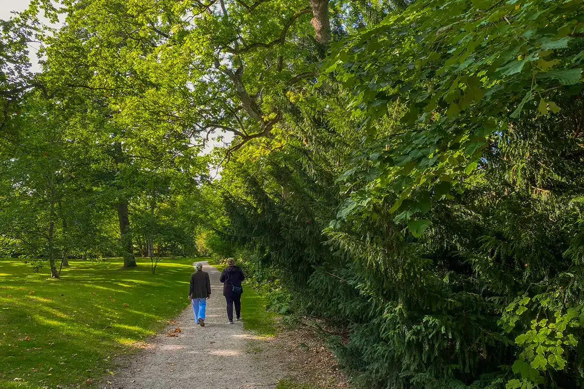 To personer går ad sti i Forstbotanisk have