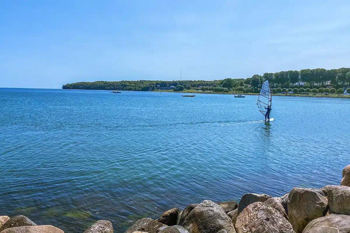 Windsurfer på vandet ud for Marselisborg havn