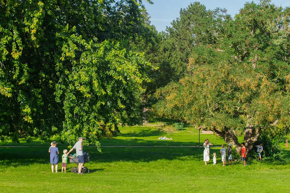 Brede grønne plæner med plads til leg i Mindeparken Brede grønne plæner med plads til leg i Mindeparken