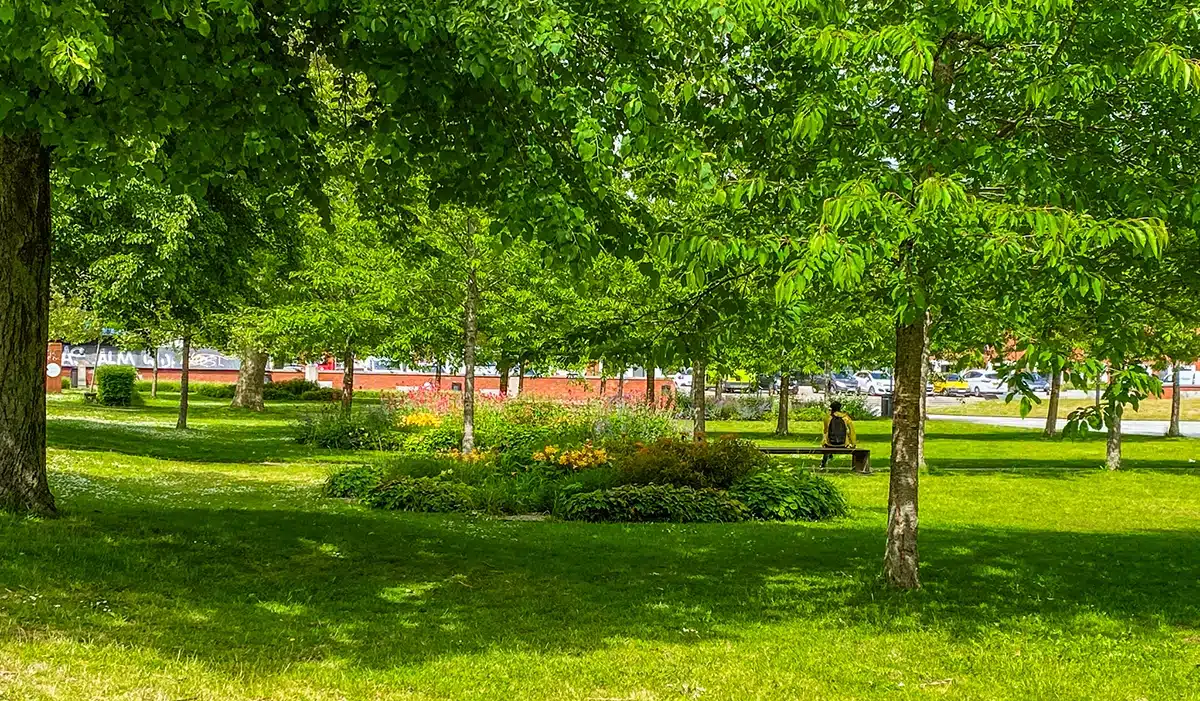 Folk sidder under træerne i Mølleparken