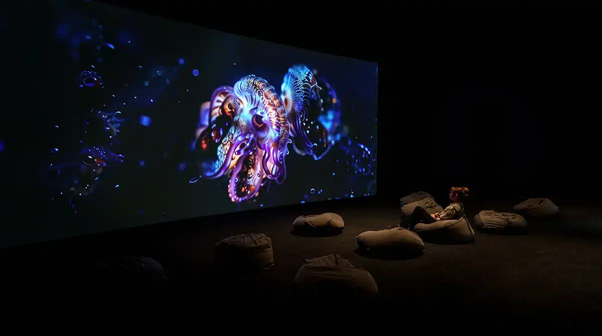 Step Inside, ARoS 2026, Mads Smidstrup6