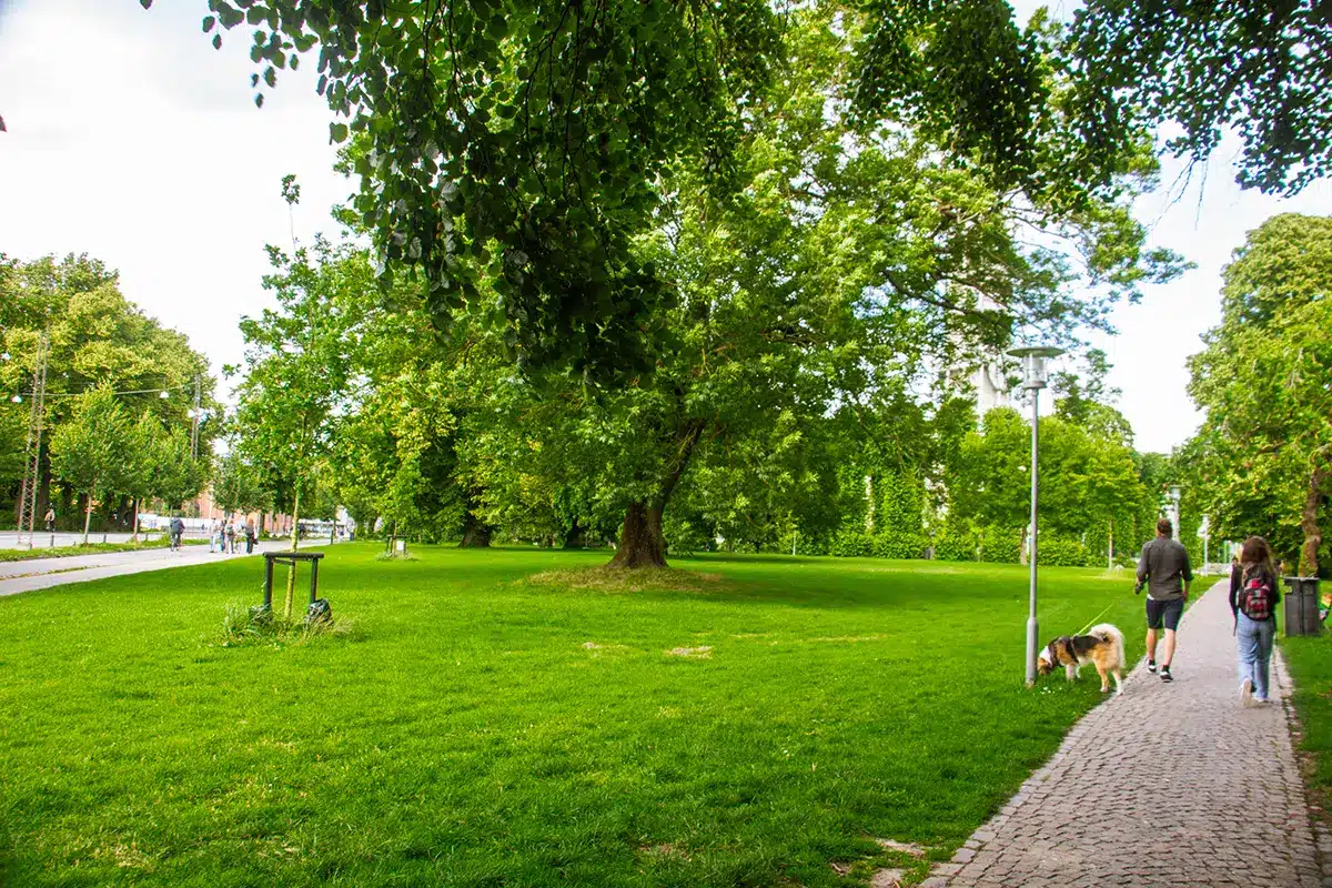 Sti gennem det grønne Rådhusparken