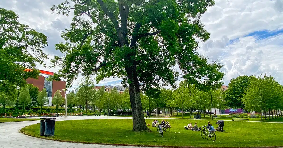 Udsigt til ARoS fra Mølleparken