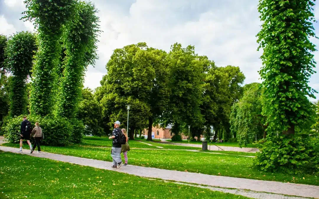 Rådhusparken