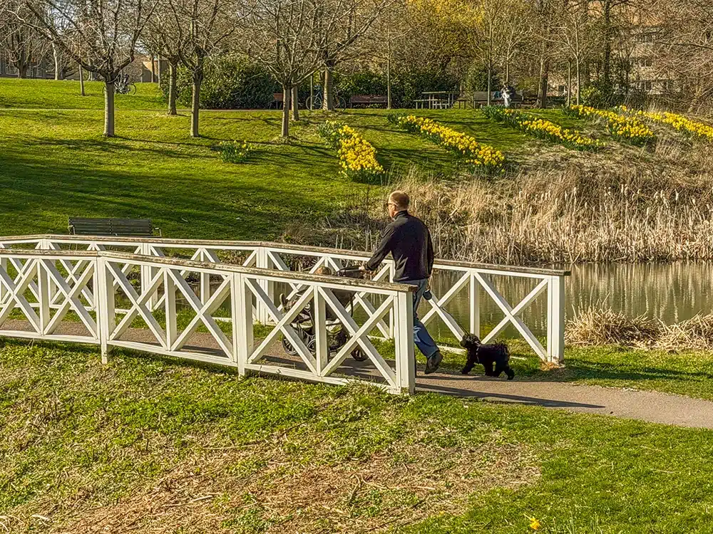 Aarhus’ smukkeste gåtur i Vennelystparken