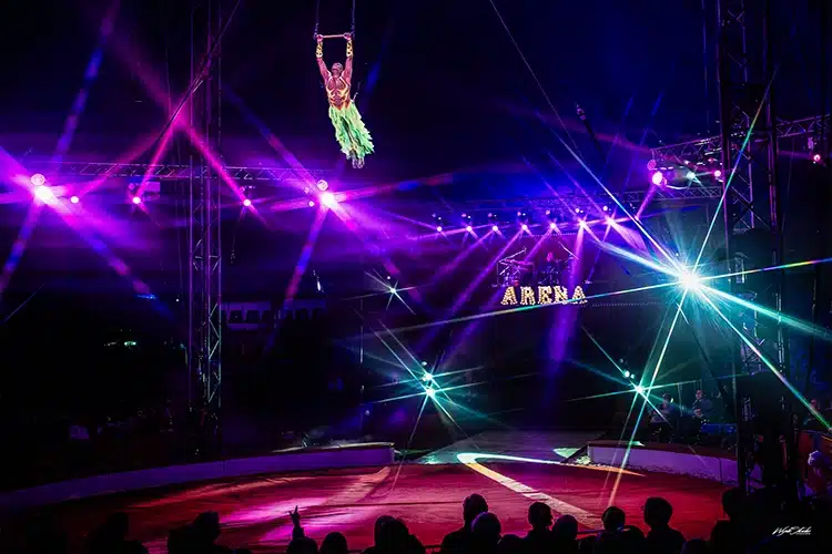 Cirkus Arena 2026 foto Wyrle studio Meta billede » Aarhus Inside Cirkus Arena 2026: Da manegen åbnede, åbnede noget i mig