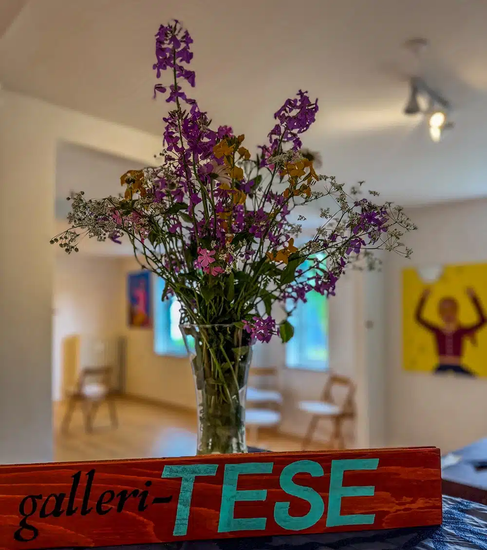 Kunsthus og Galleri TESE indgangen