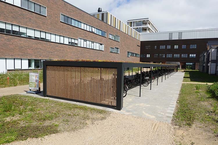 Sedumtag giver mere natur mellem Aarhus boliger sponseret » Aarhus Inside Sedumtag giver mere natur mellem Aarhus’ boliger