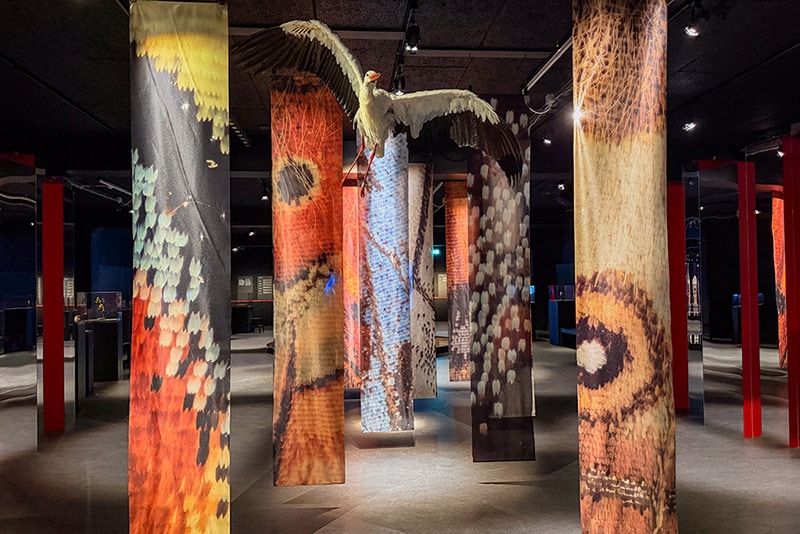 Afterglow på Naturhistorisk Museum sætter spor